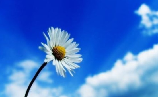 網(wǎng)站建設(shè)心態(tài)篇，今天我們?cè)趺戳耍?></a>
            <dl>
              <dt><a href=