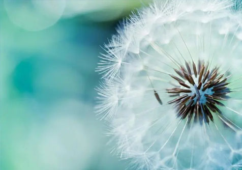 做網站該不該給客戶報方案